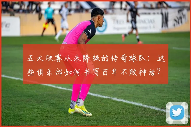 五大联赛从未降级的传奇球队：这些俱乐部如何书写百年不败神话？